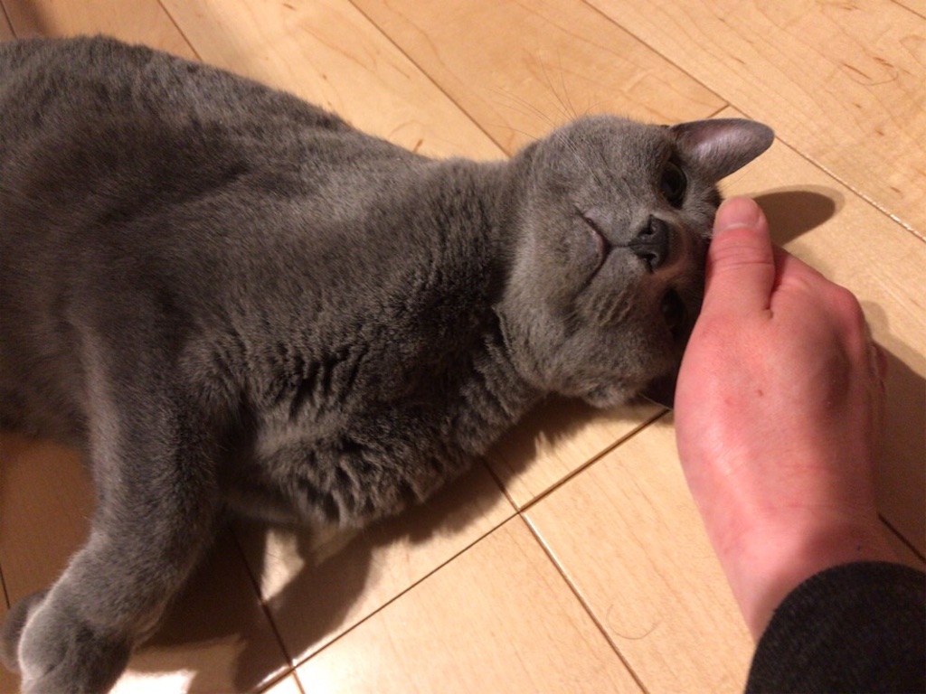 f:id:aporon2:20200329190705j:image