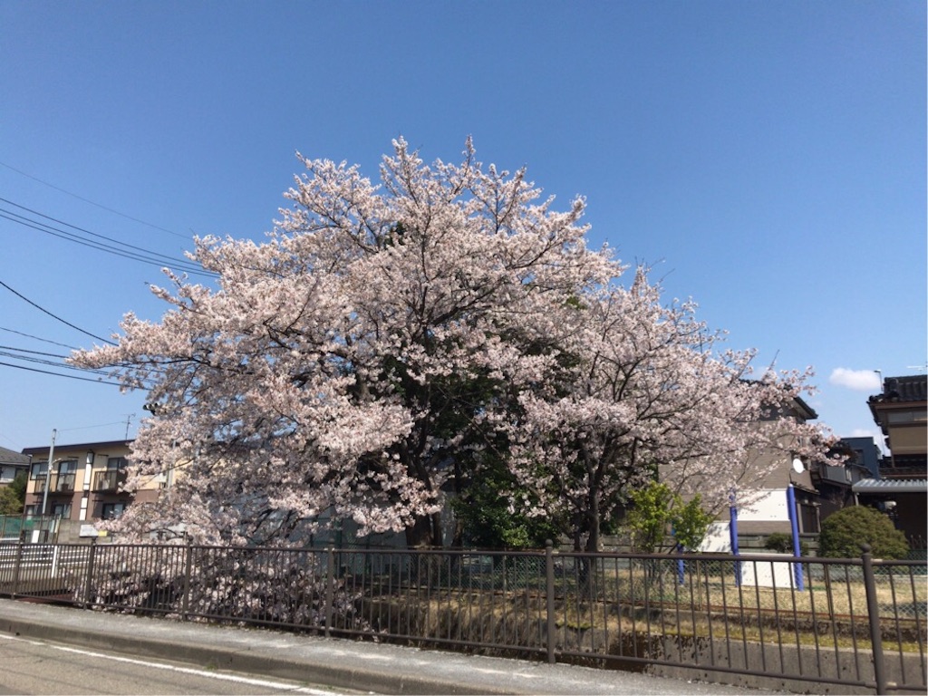 f:id:aporon2:20200410183621j:image