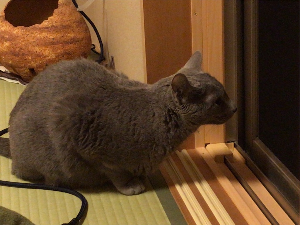 f:id:aporon2:20200425232617j:image