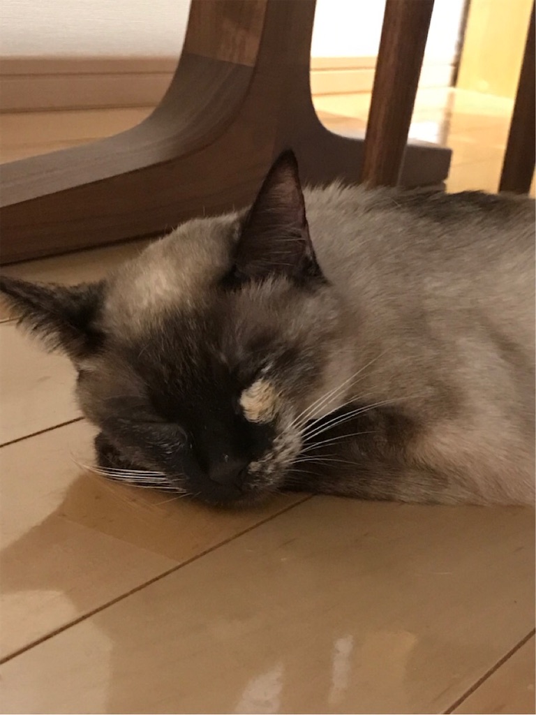 f:id:aporon2:20200522124243j:image