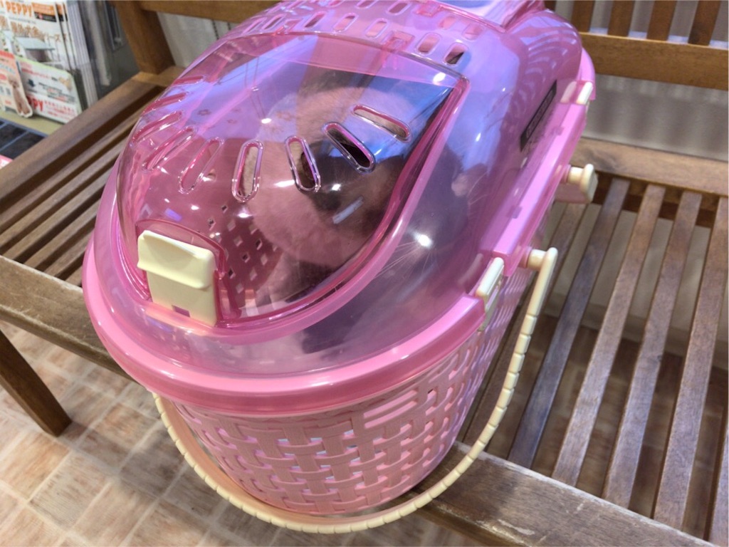 f:id:aporon2:20200522124246j:image