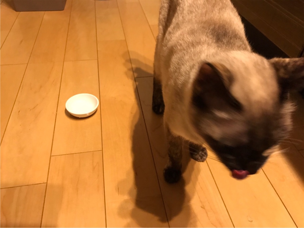 f:id:aporon2:20200522124257j:image