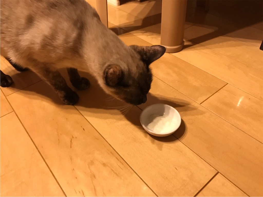 f:id:aporon2:20200522124301j:image