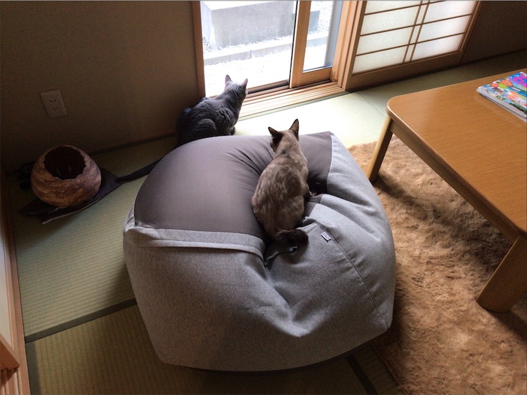 f:id:aporon2:20200619221834j:image