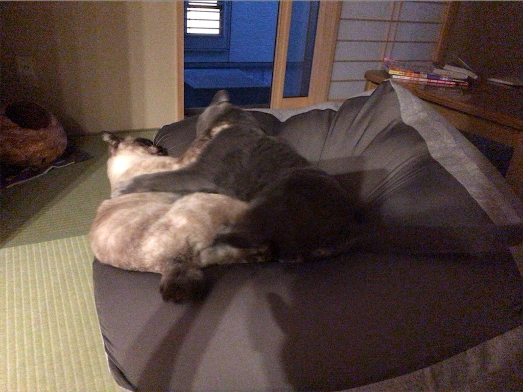 f:id:aporon2:20200619221846j:image