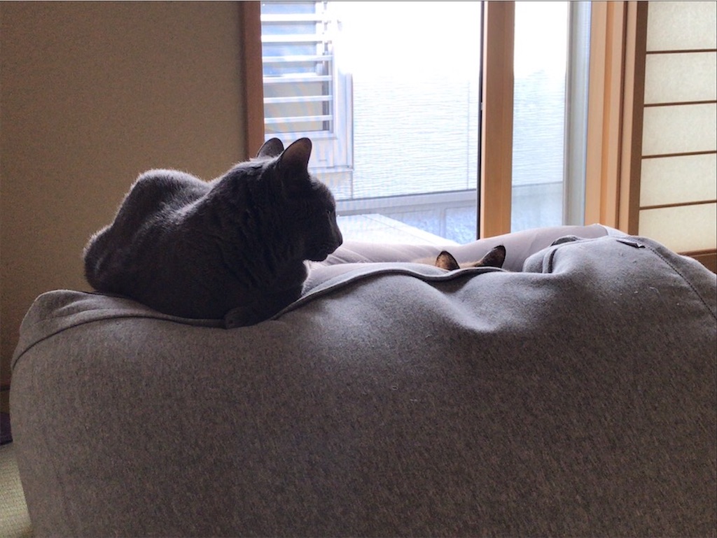 f:id:aporon2:20200619221855j:image