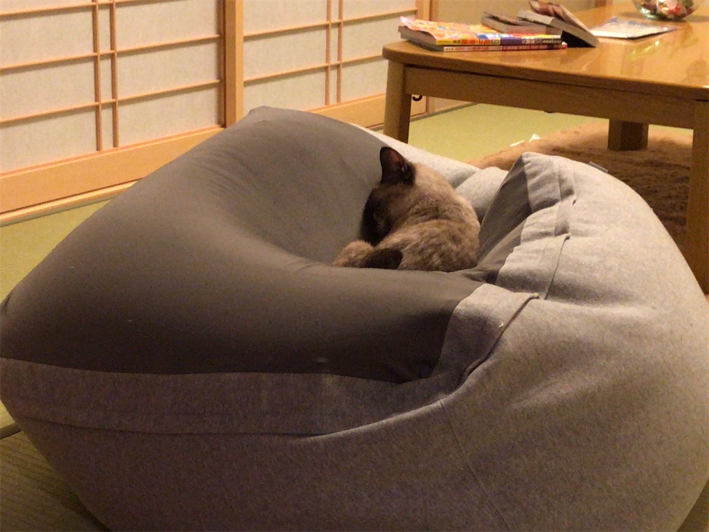 f:id:aporon2:20200619222109j:image