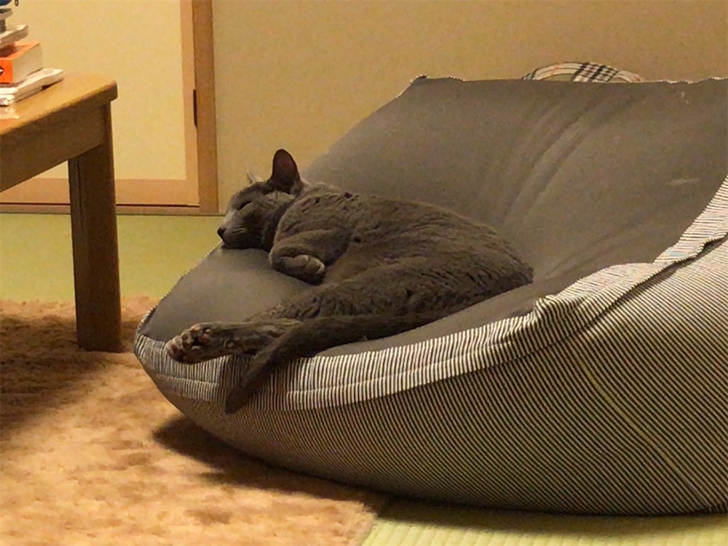 f:id:aporon2:20200619222118j:image