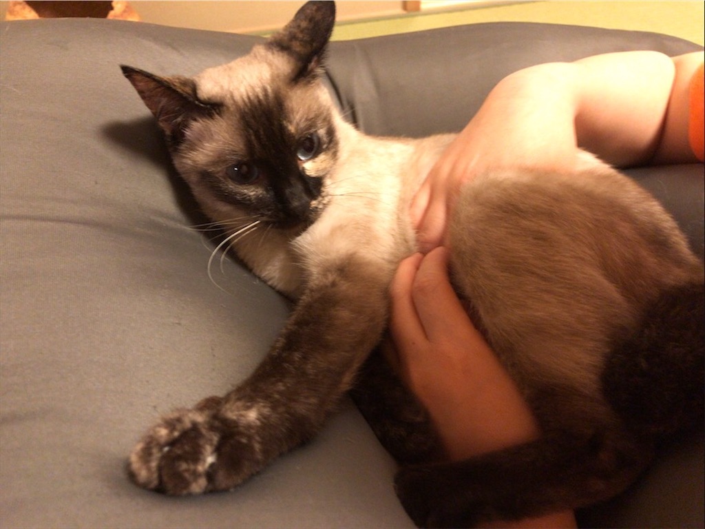 f:id:aporon2:20200731211750j:image