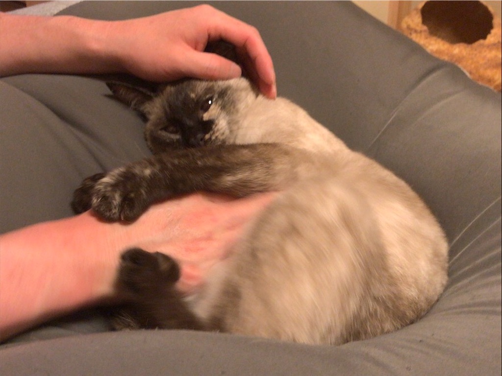 f:id:aporon2:20200731211813j:image