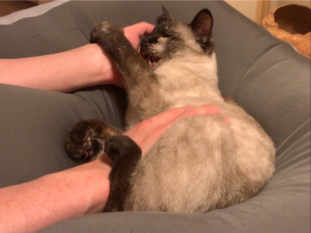 f:id:aporon2:20200731211816j:image