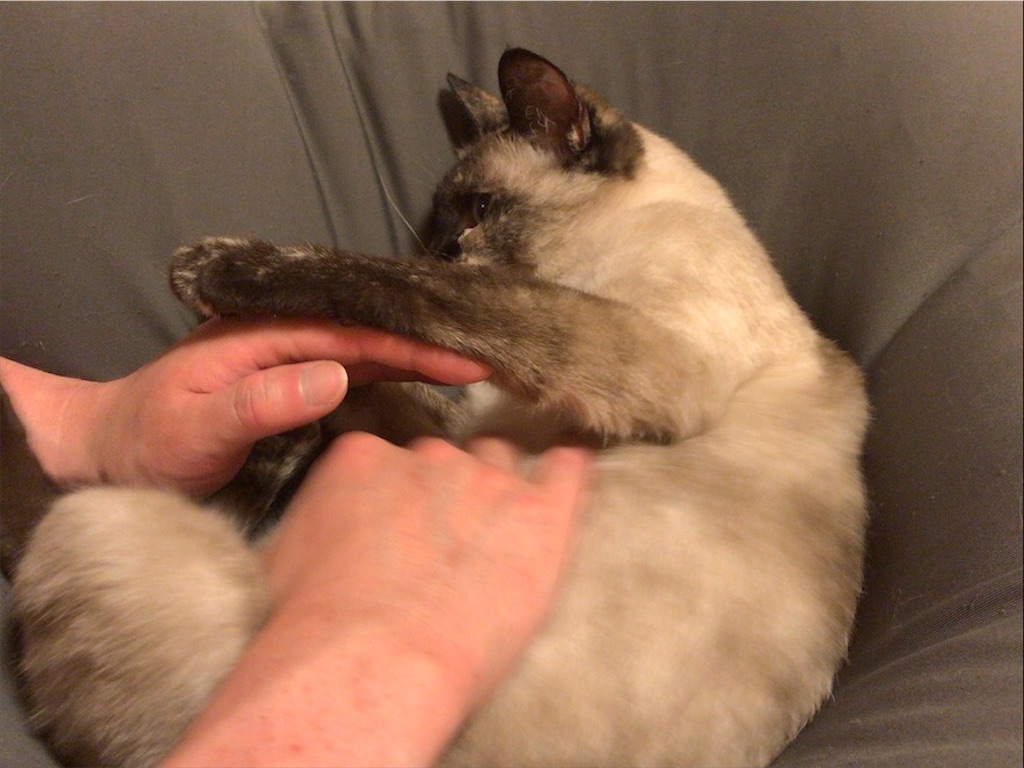 f:id:aporon2:20200731211819j:image