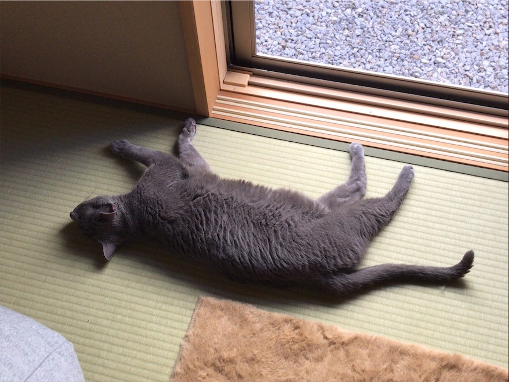 f:id:aporon2:20200815181703j:image f:id:aporon2:20200815181703j:image