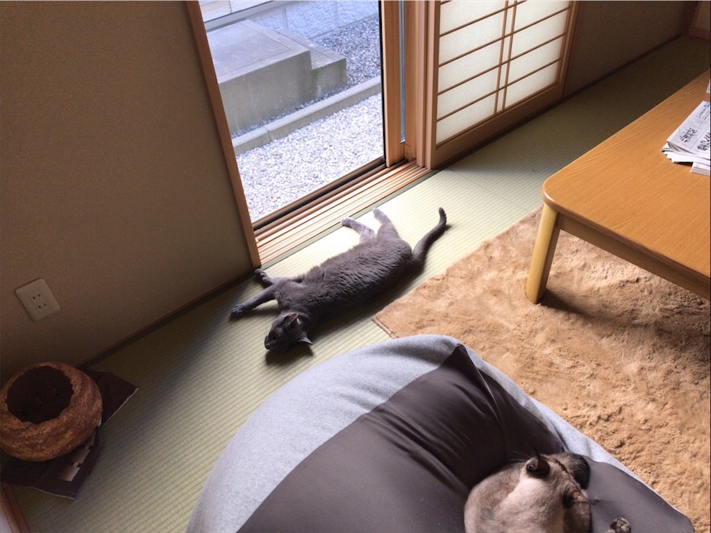 f:id:aporon2:20200815181709j:image f:id:aporon2:20200815181709j:image