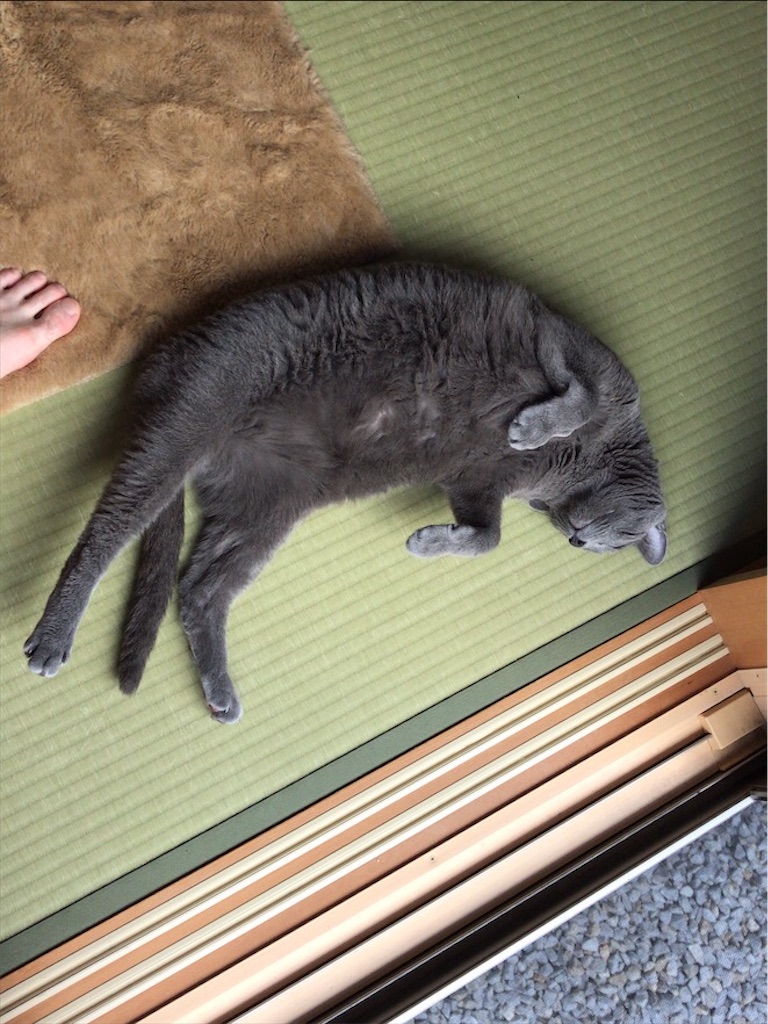 f:id:aporon2:20200815181726j:image f:id:aporon2:20200815181726j:image