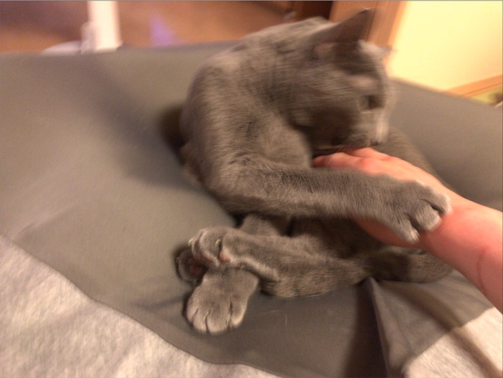 f:id:aporon2:20201003154822j:image