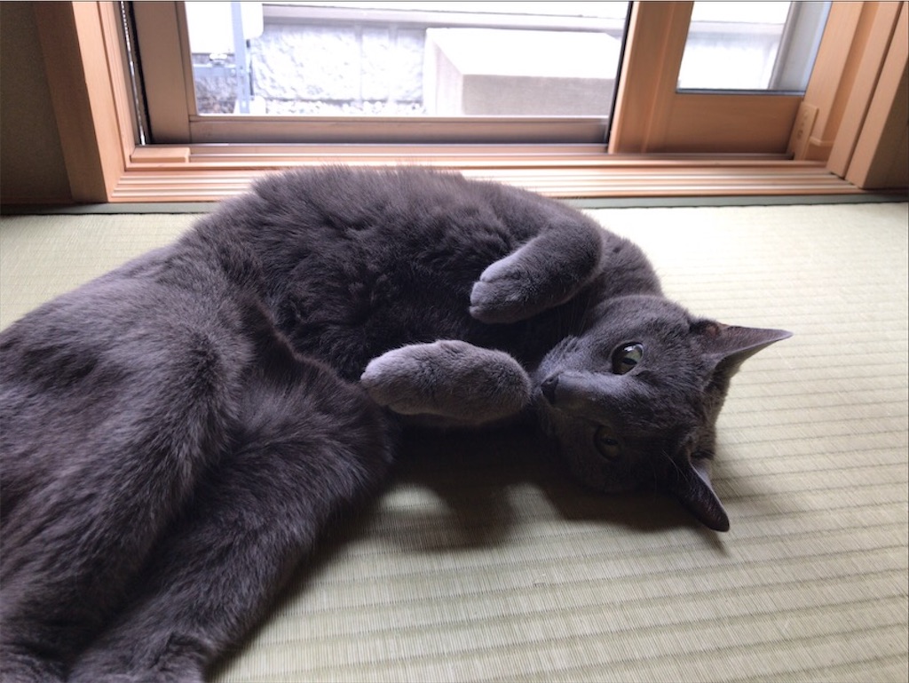 f:id:aporon2:20201003154826j:image