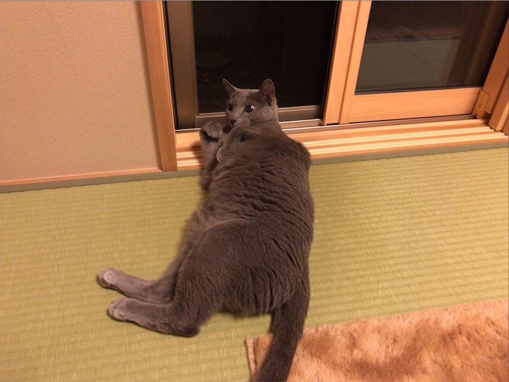 f:id:aporon2:20201003154840j:image