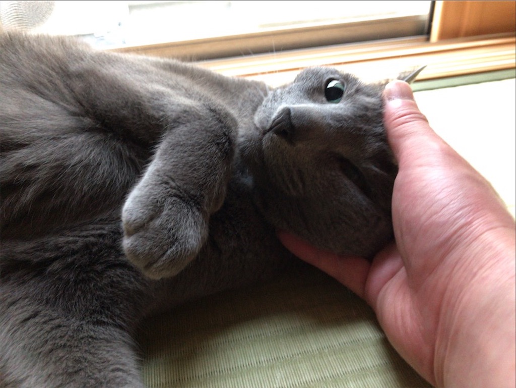 f:id:aporon2:20201003154844j:image