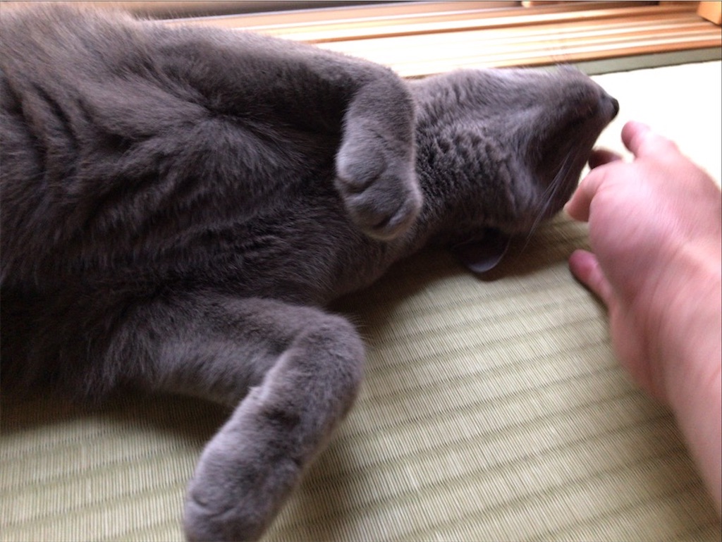 f:id:aporon2:20201003154848j:image