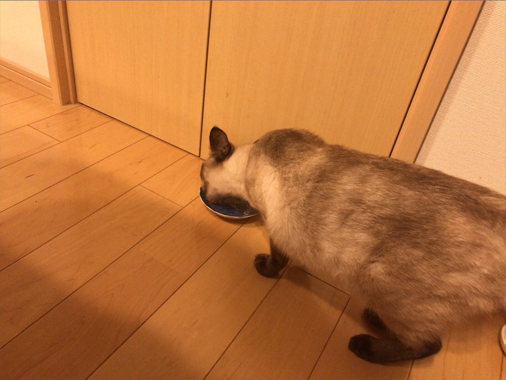 f:id:aporon2:20201023221739j:image