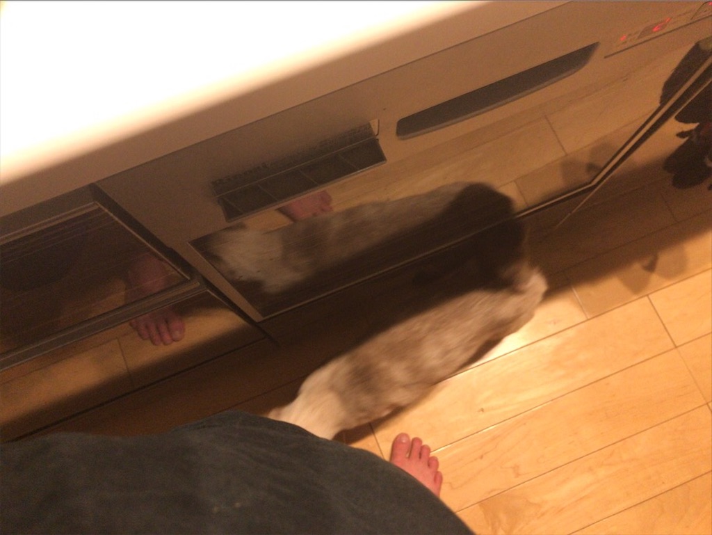 f:id:aporon2:20201023221802j:image