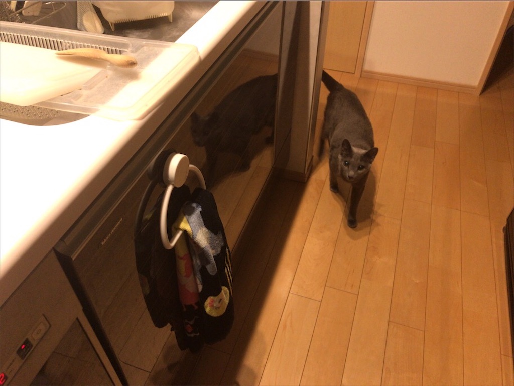 f:id:aporon2:20201023221811j:image