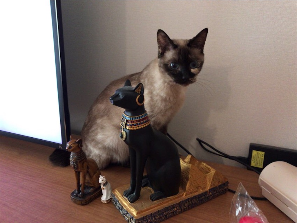 f:id:aporon2:20210113124206j:image f:id:aporon2:20210113124206j:image