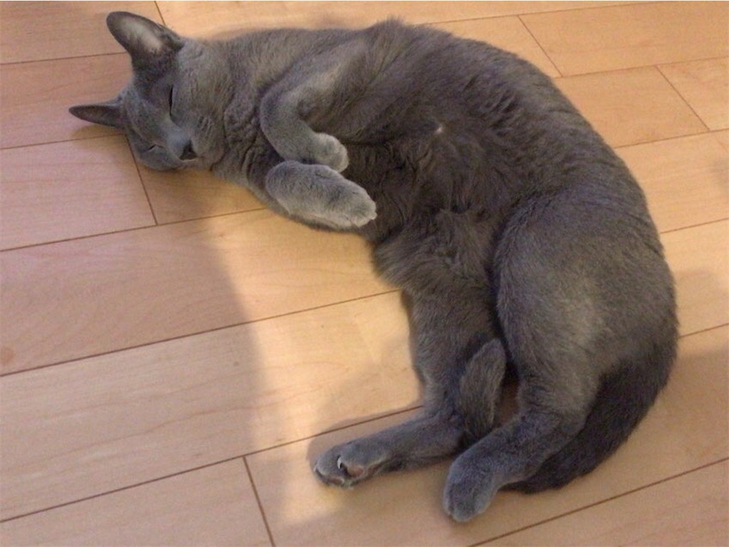 f:id:aporon2:20210113124217j:image f:id:aporon2:20210113124217j:image