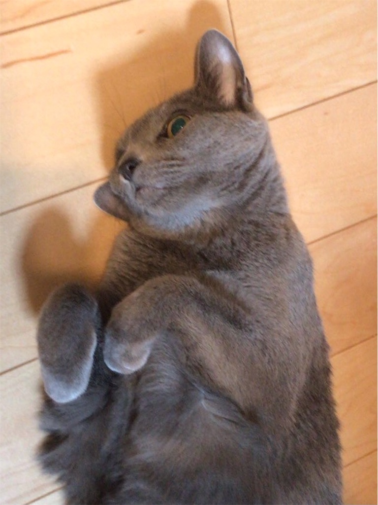 f:id:aporon2:20210113124446j:image f:id:aporon2:20210113124446j:image