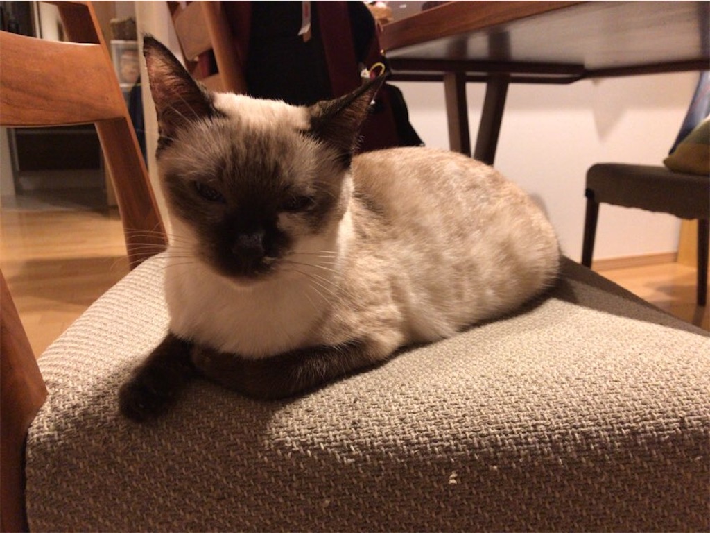 f:id:aporon2:20210113124454j:image f:id:aporon2:20210113124454j:image