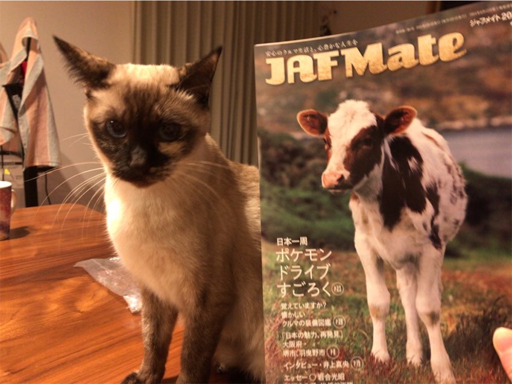 f:id:aporon2:20210113125438j:image f:id:aporon2:20210113125438j:image