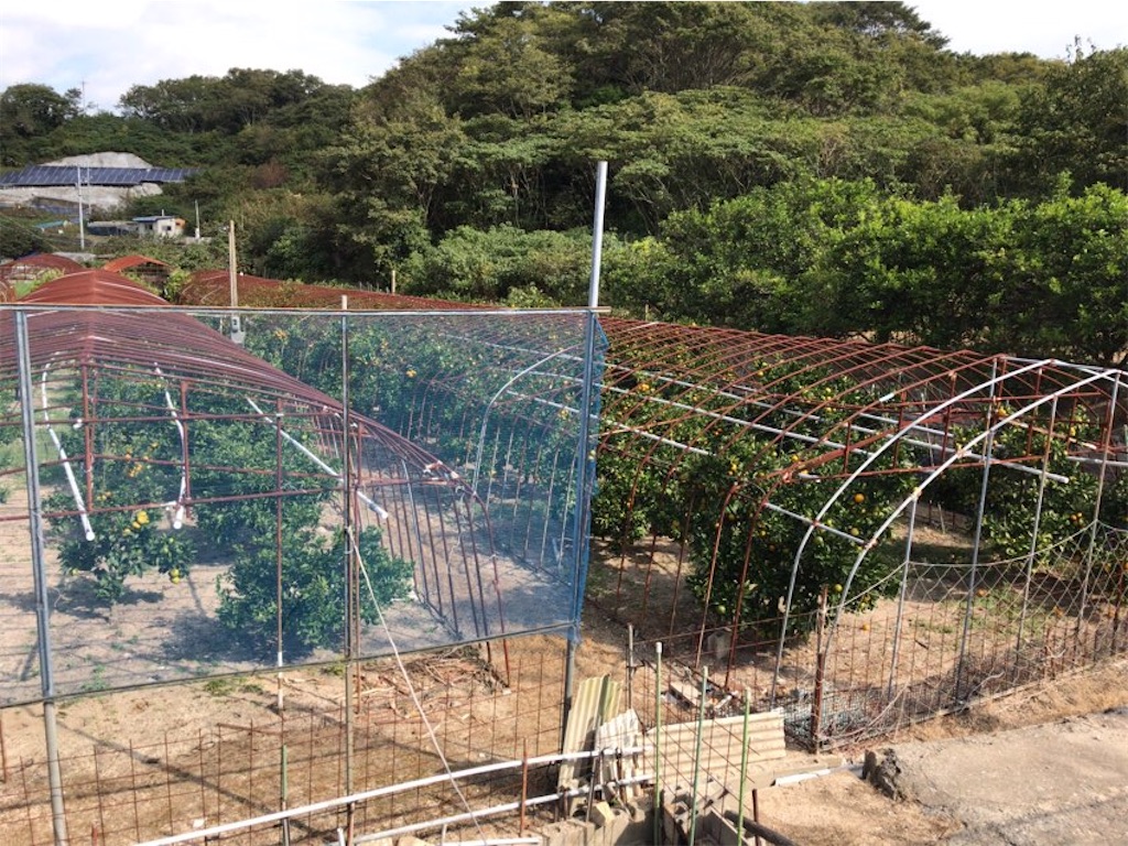 f:id:aporon2:20211028175801j:image f:id:aporon2:20211028175801j:image