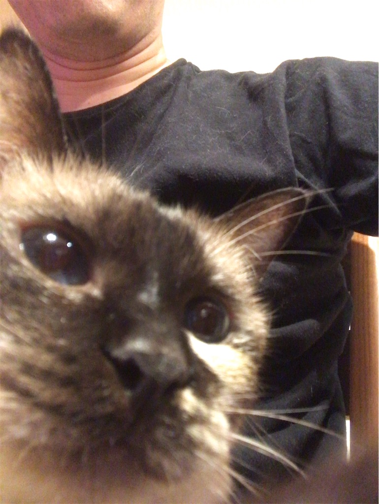 f:id:aporon2:20211231201542j:image