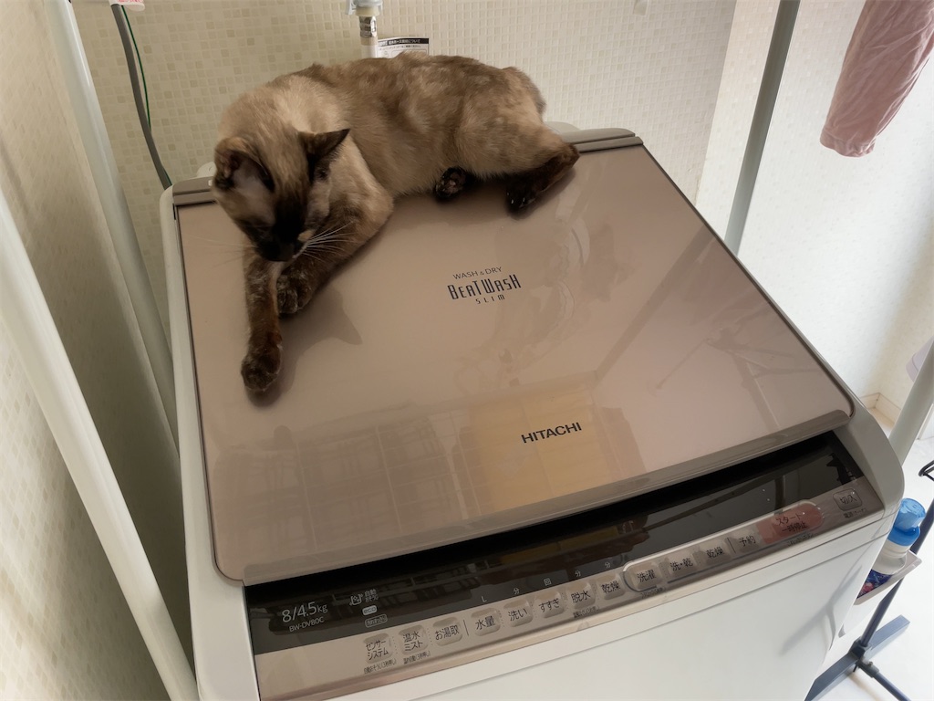 f:id:aporon2:20220501151812j:image