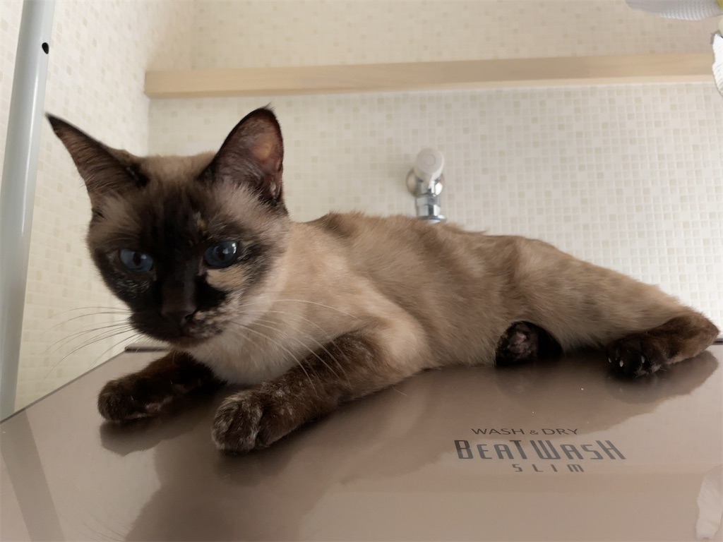 f:id:aporon2:20220501151817j:image