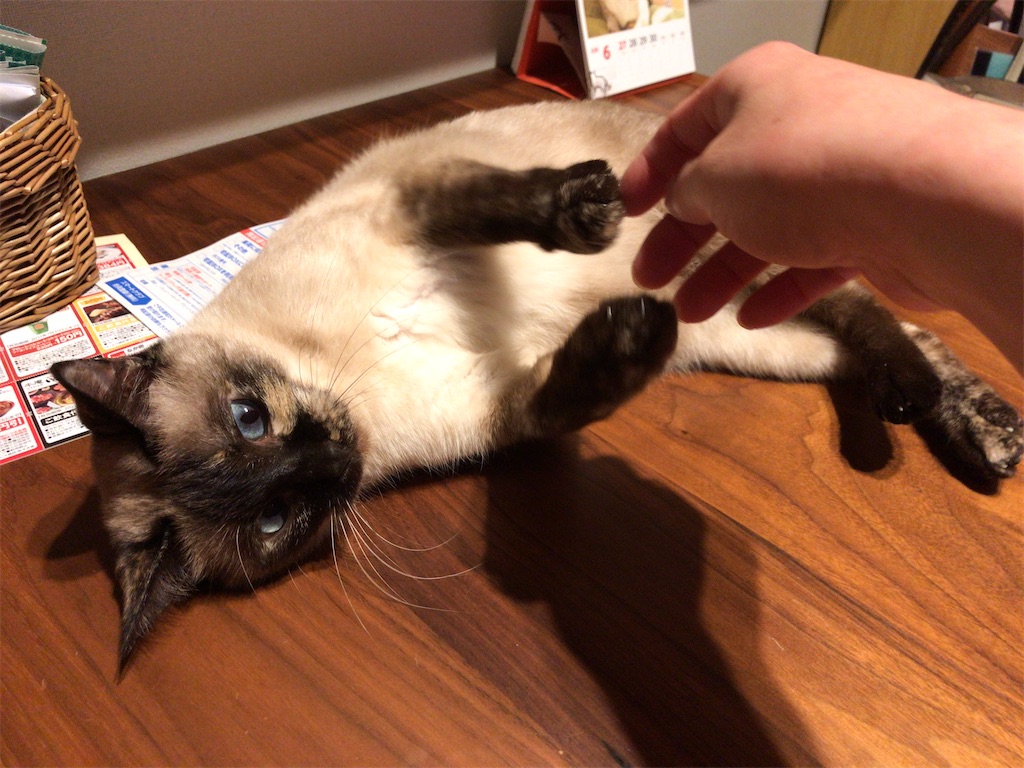 f:id:aporon2:20220501153123j:image