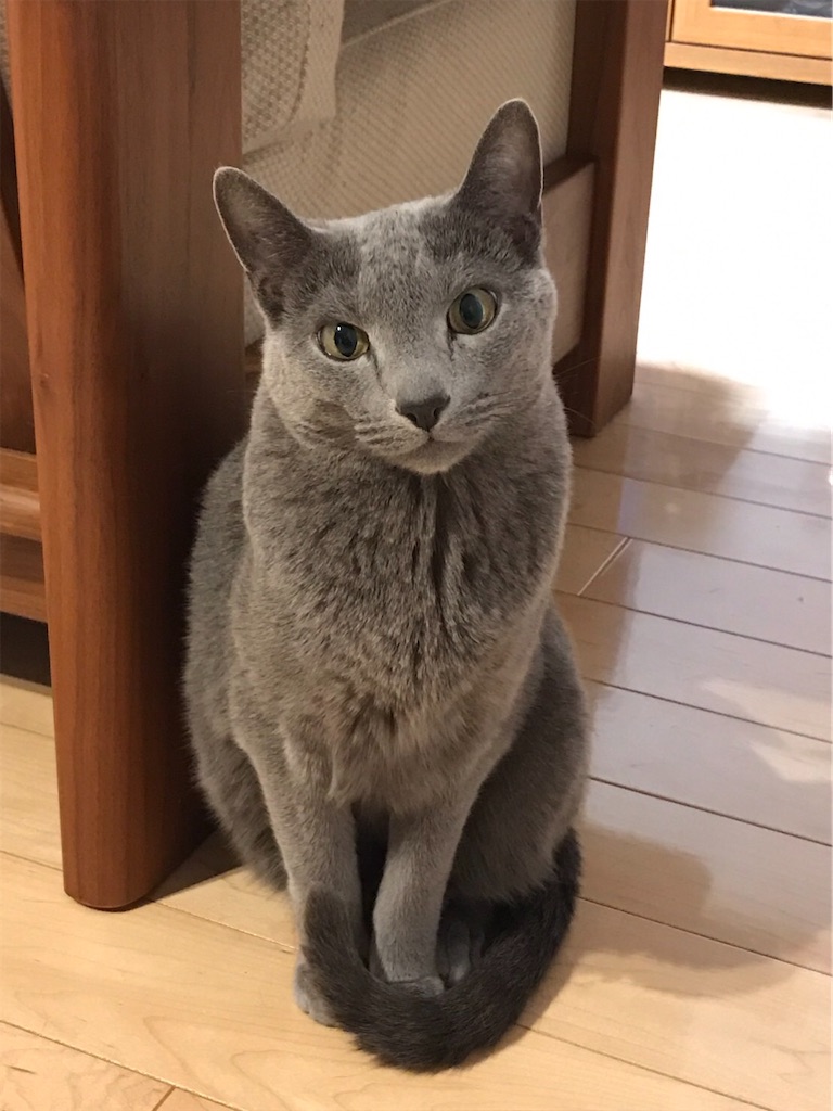 f:id:aporon2:20220724100852j:image