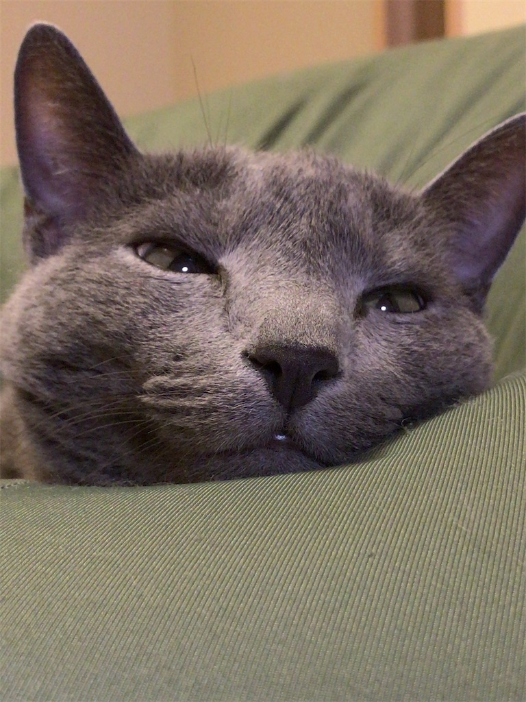 f:id:aporon2:20220724101413j:image