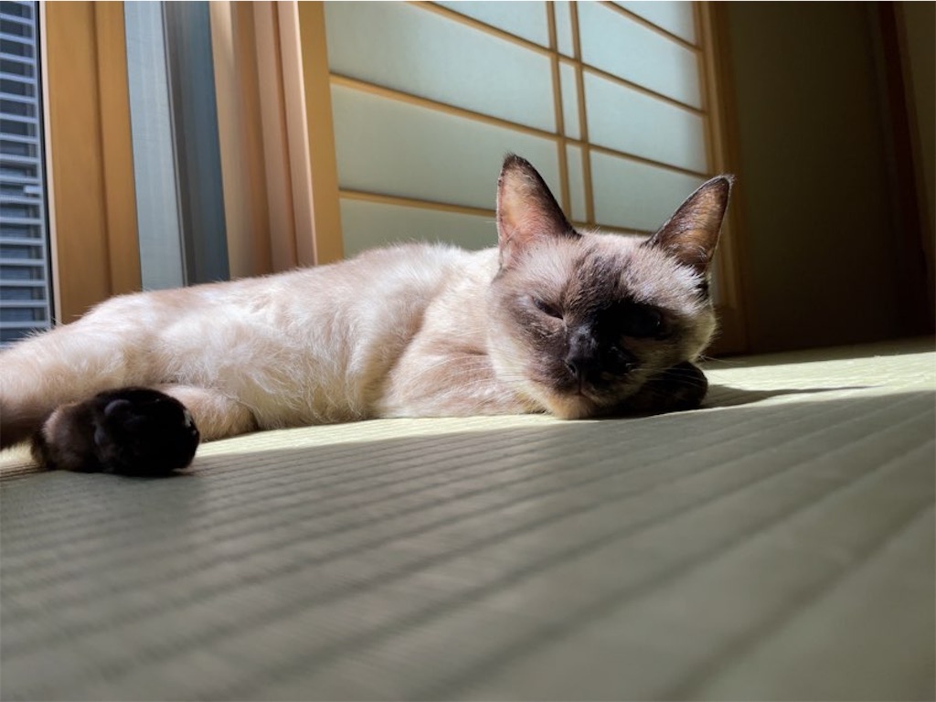 f:id:aporon2:20220907201214j:image