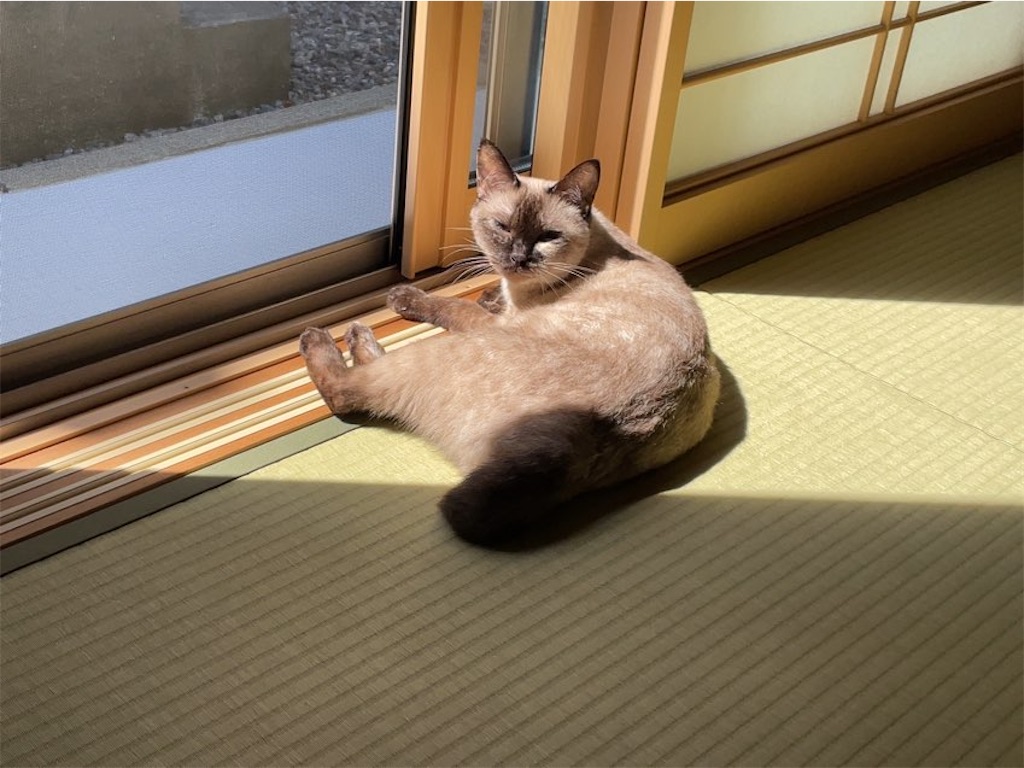 f:id:aporon2:20220907201221j:image