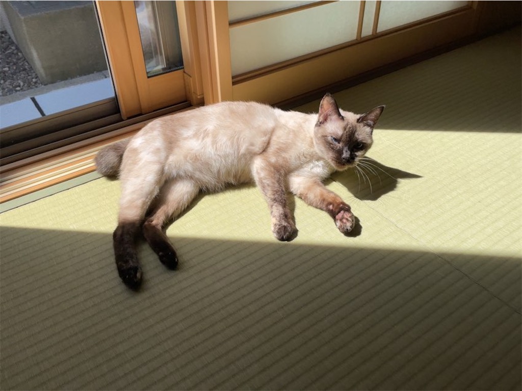 f:id:aporon2:20220907201227j:image