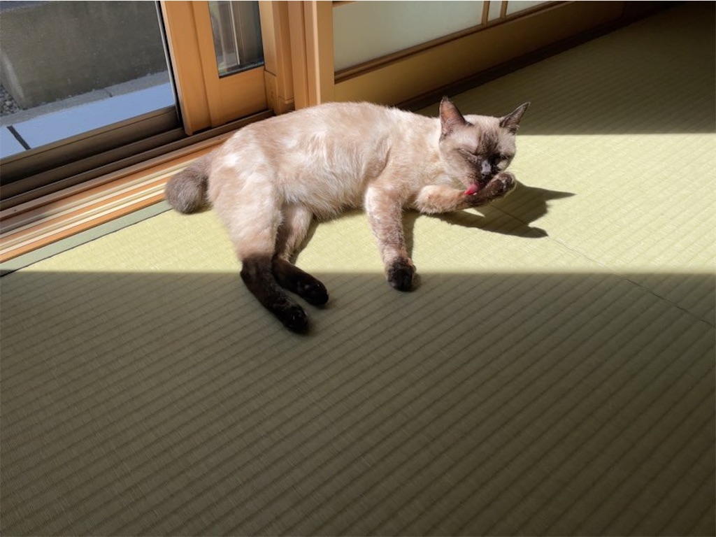 f:id:aporon2:20220907201230j:image