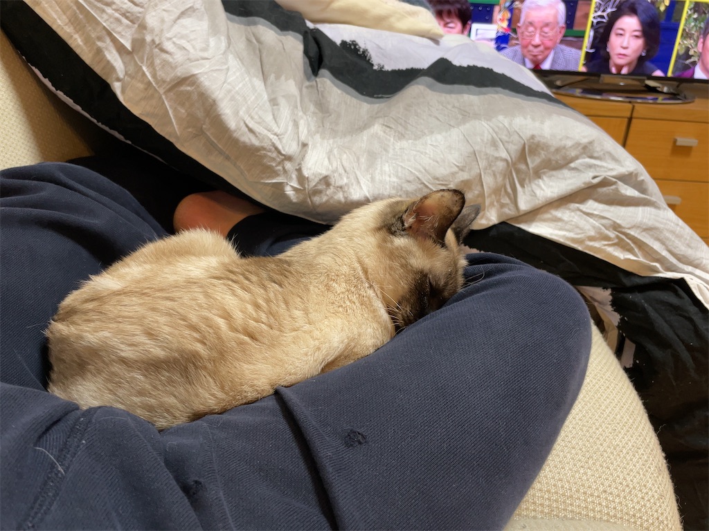 f:id:aporon2:20221231201026j:image