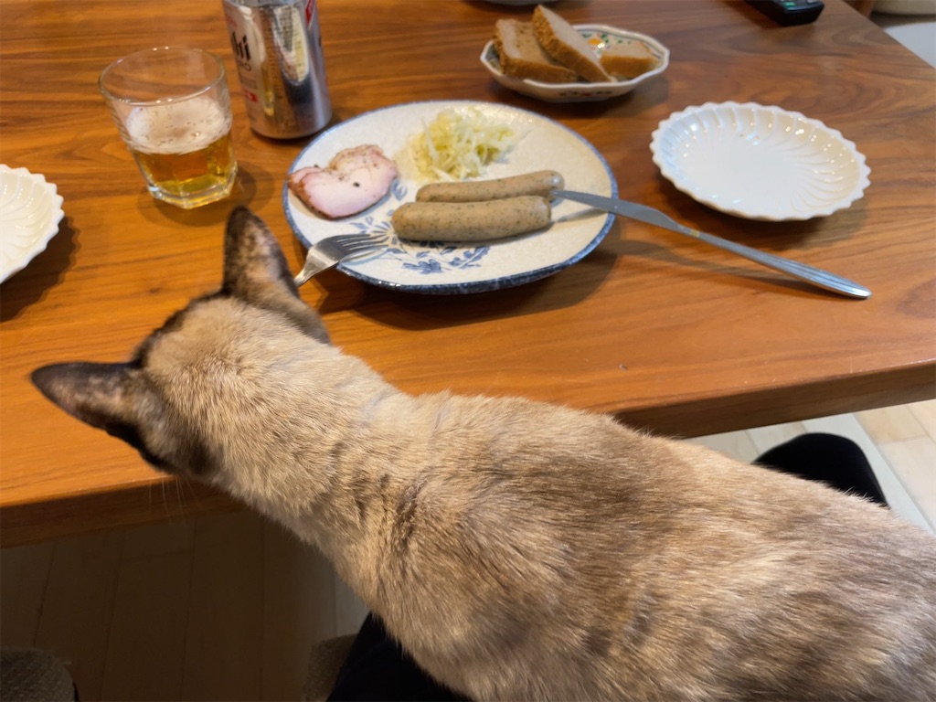 f:id:aporon2:20230103201703j:image