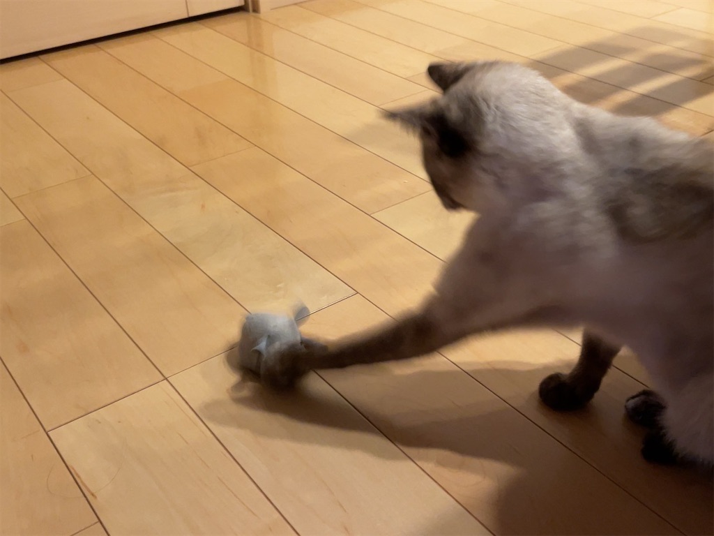 f:id:aporon2:20230103201716j:image