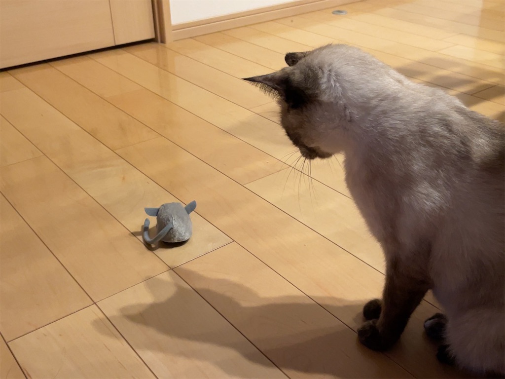 f:id:aporon2:20230103201719j:image