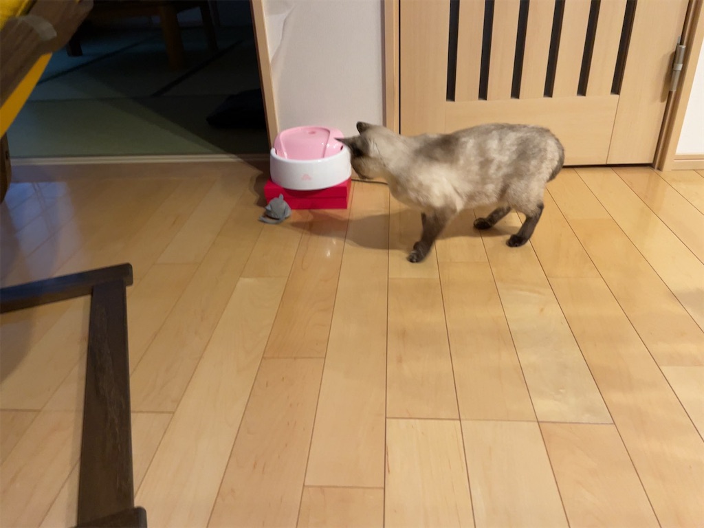 f:id:aporon2:20230103201722j:image