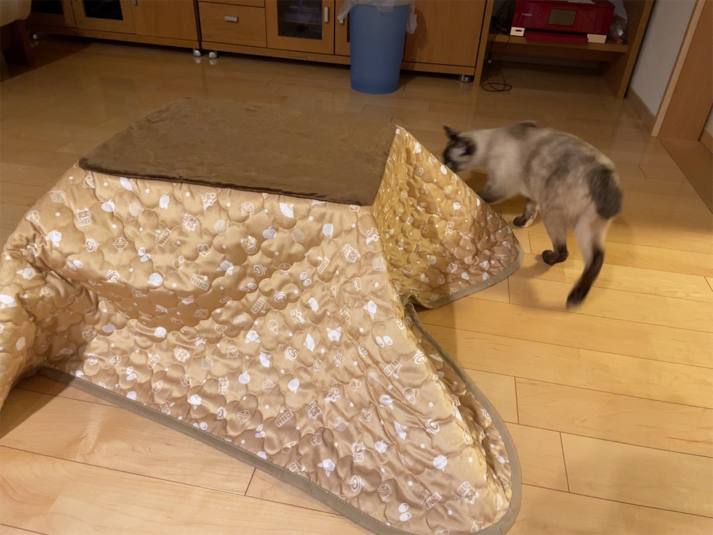 f:id:aporon2:20230103201904j:image