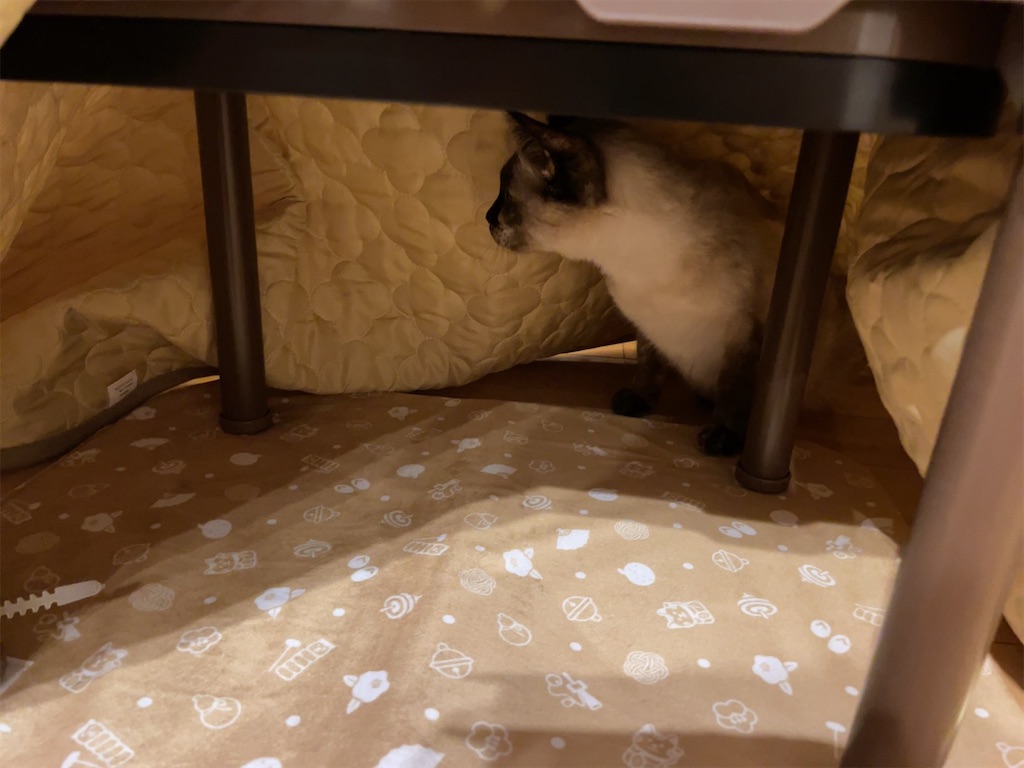 f:id:aporon2:20230103201907j:image